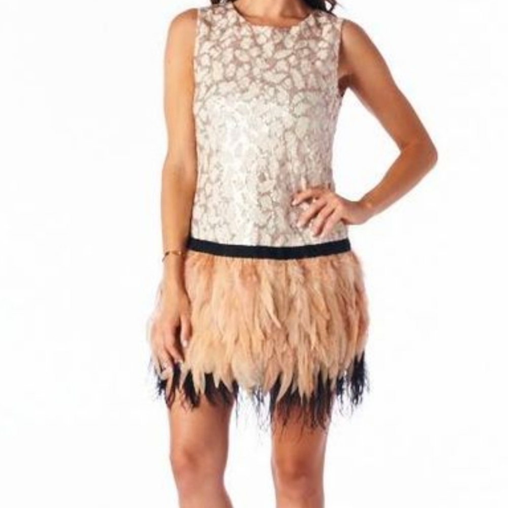 C. Luce Feather and Sequin Lace Dress